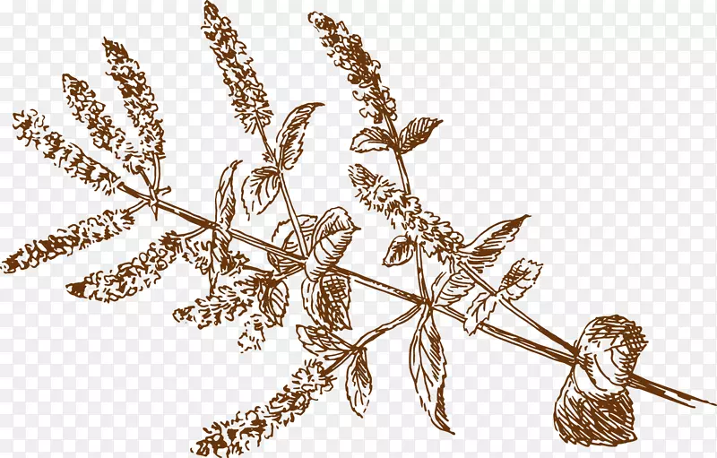 ����߻��˲��ͽ������-��-������