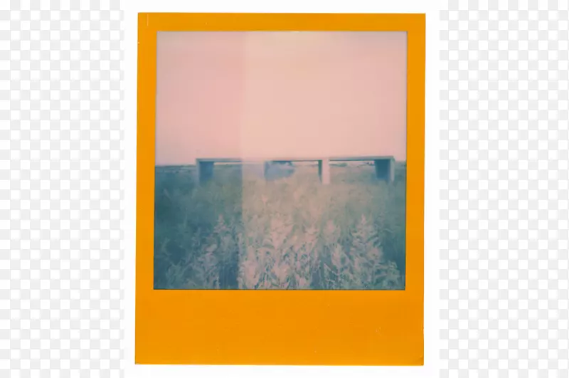 ��򳤷�����ճ����βݱ�ֲ��-������