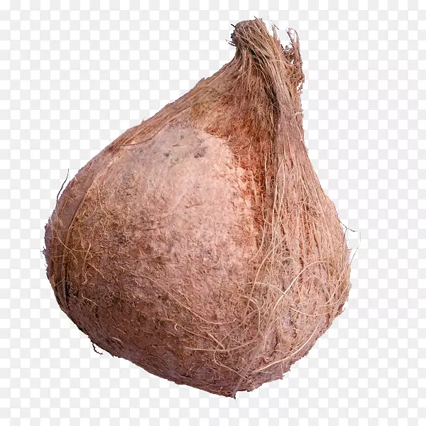 ����Ҭ��Ҭ��ˮʳƷҬ��ͼƬ����-������