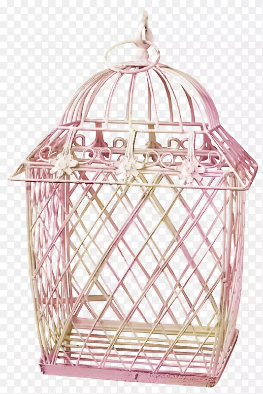 ����������-��-������