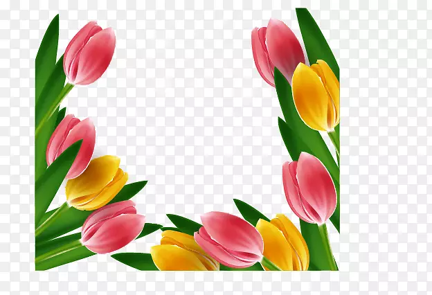 �����㻨������-������-������