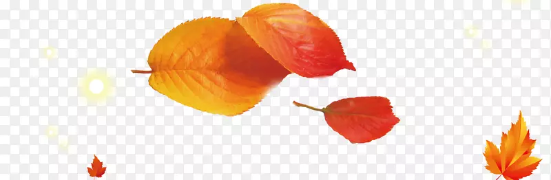 �������յ��Ա�ֽ-������