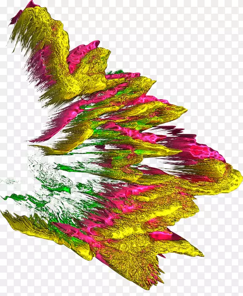 ��쿪��ֲ��Ҷ-������