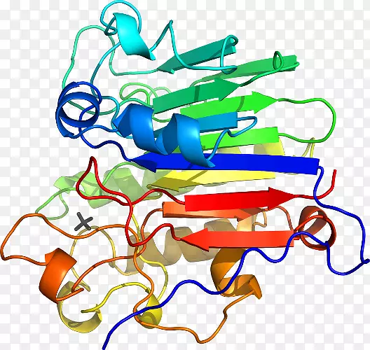 �ߵ������-��-������