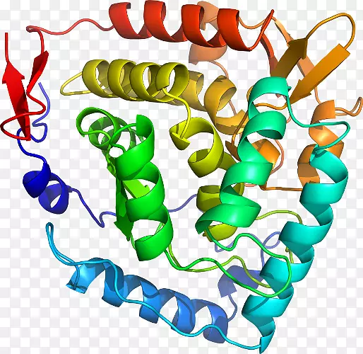 �����鱦�л��������.�鱦-������