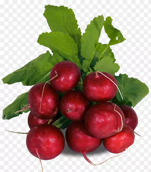 ���������ʥ�����д���ʳƷ˹��������ﰢ�������-ʥ�������������-������