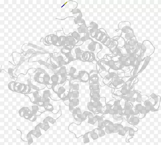 ��ɫ�������-������