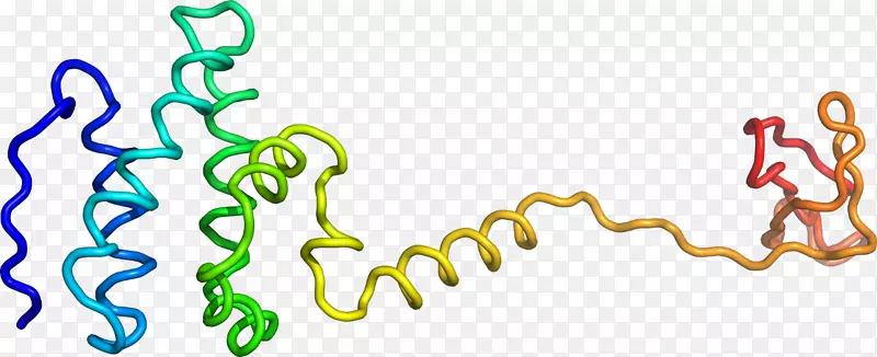 ������Ϊ�л����ߵ��������-������