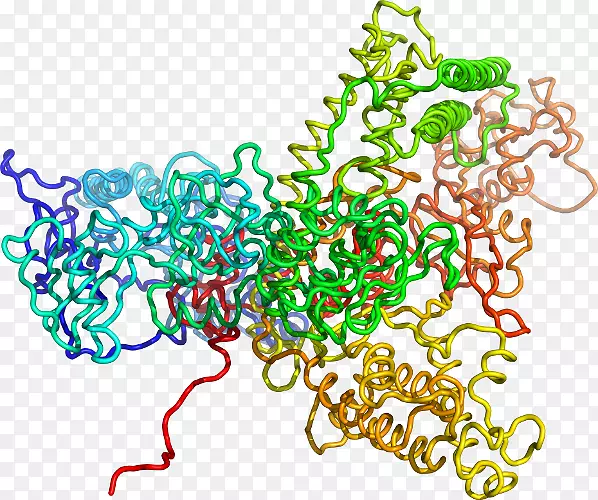 ���߼�����-��-������