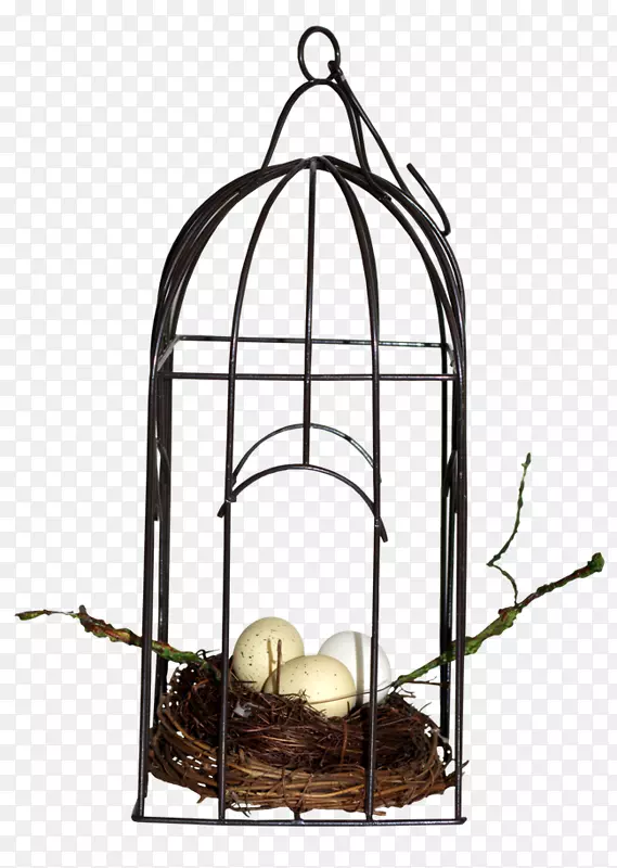 ��������-����-������