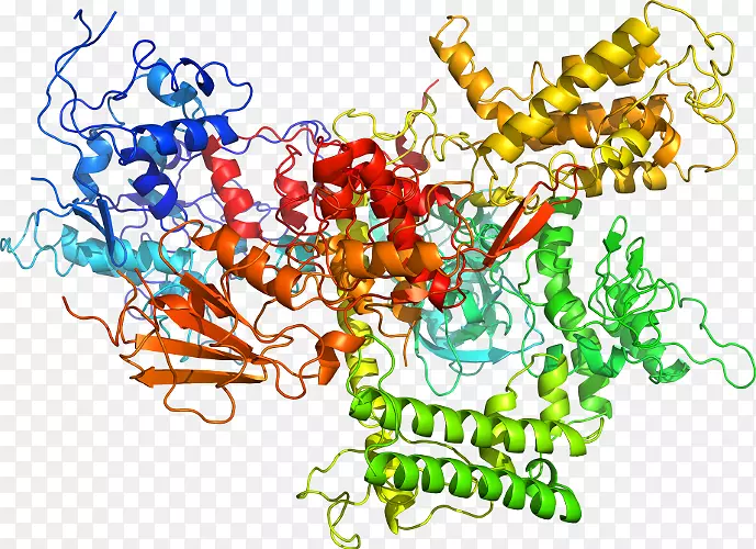 �л��������-������