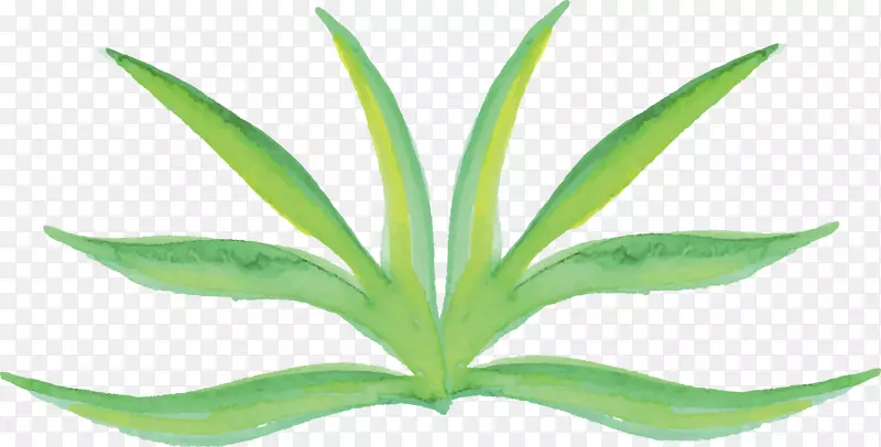 ����ˮ�ʣ�����ˮ�ʻ�ֲ��ˮ�ʻ�-������