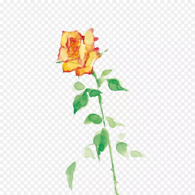 ��԰õ�廨������л��ֻ滨��ֲ��-������