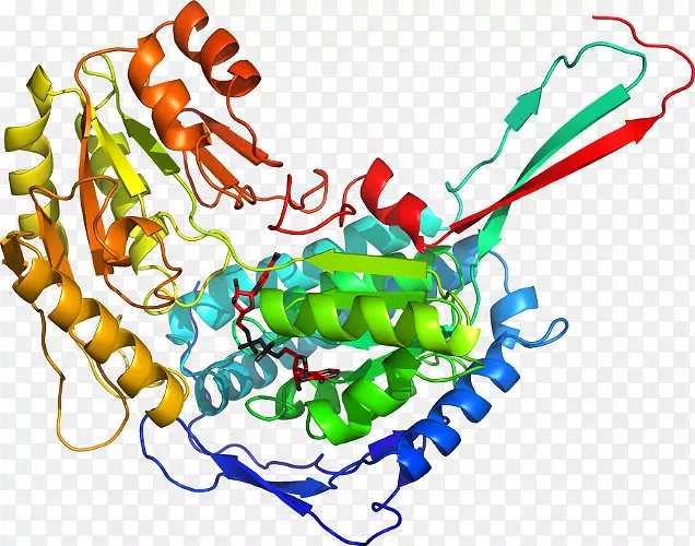 �ߵ������������-������