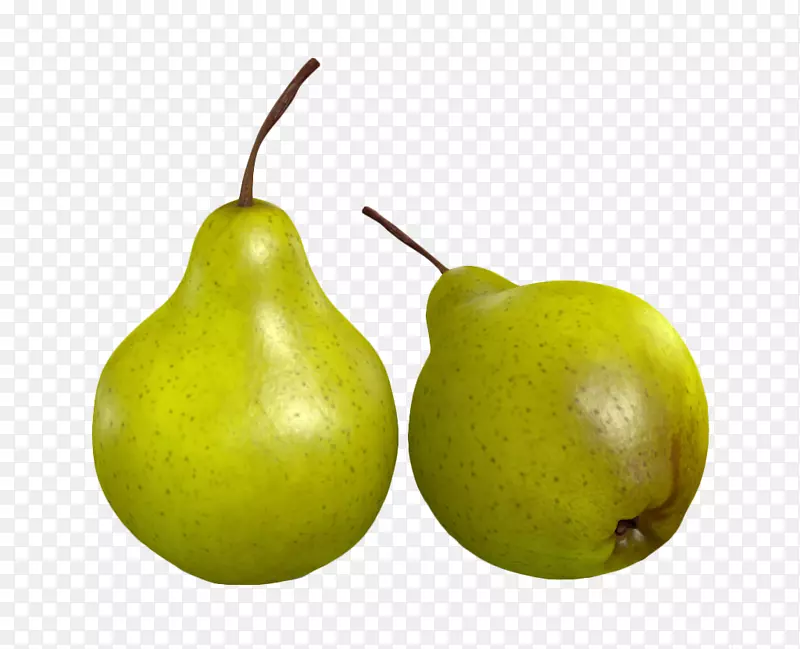 ŷ����ѩƬ��һ˫��ɫѩ��-������