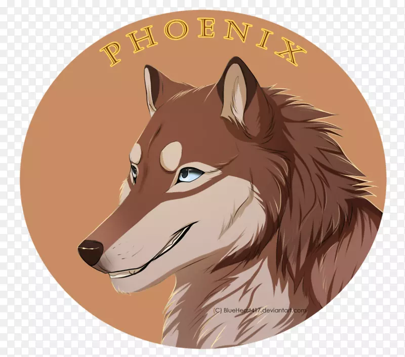 ��ͨ������-��ɫ��˳�-������