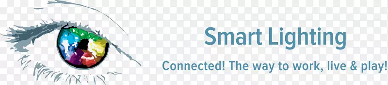 �ձ�Ʒ�Ƶƹ����ϵͳ-������