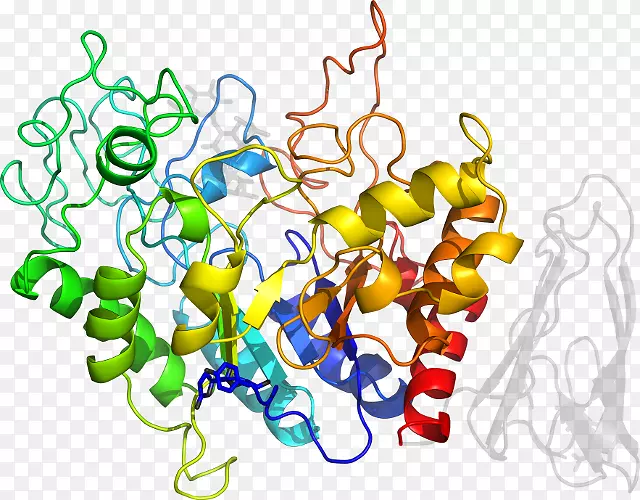 ����ƽ����Ƶ��������-������