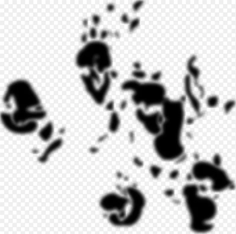 ����èD.C.�����¿�ѧ����ѧ������ѧ-��ѧ-������