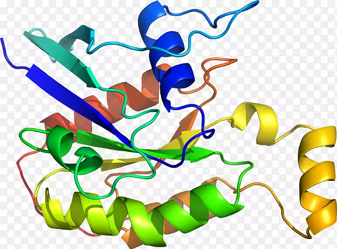 �����߶����������-������