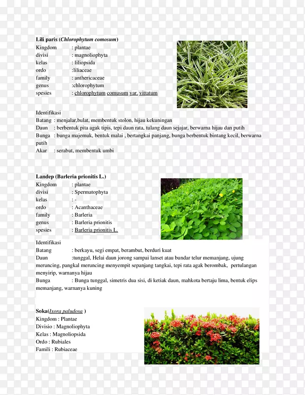 ������-������