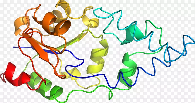 �ߵ������-��-������