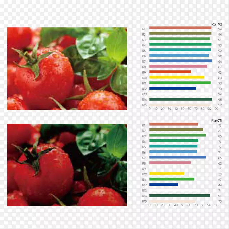 ��ɫָ�����������ʳƷ��ҵ��ɫָ��-������