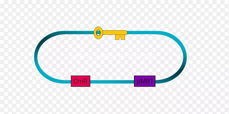 �����������-������