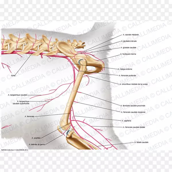 ��ϵͳ������ʼ���ϵͳ-�Ѷ���-������