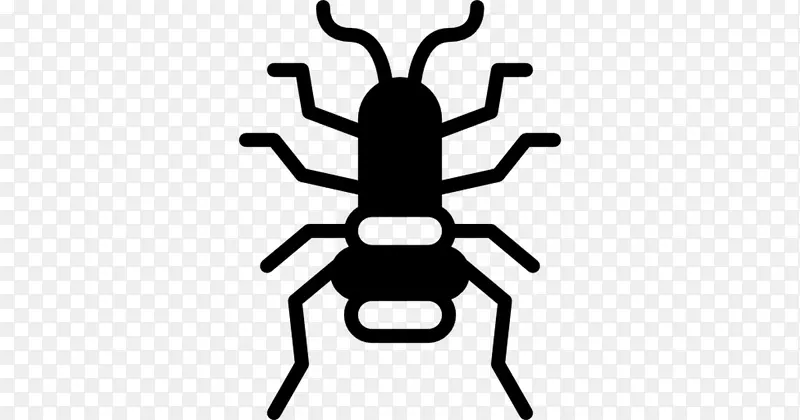 �������������-����-������