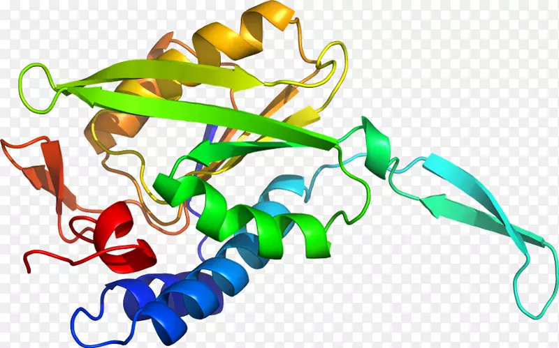 ���������л����߼�������-������