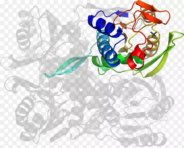 ƽ����Ƽ�����.���-������