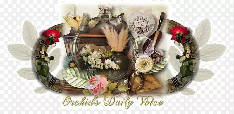 ʳ��-������