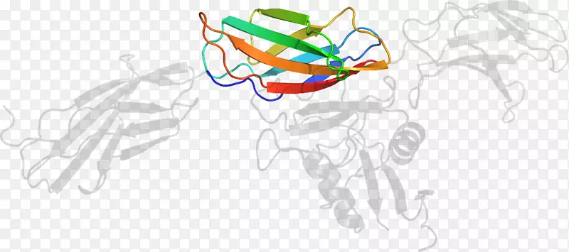 ƽ����Ƽ�����.���-������