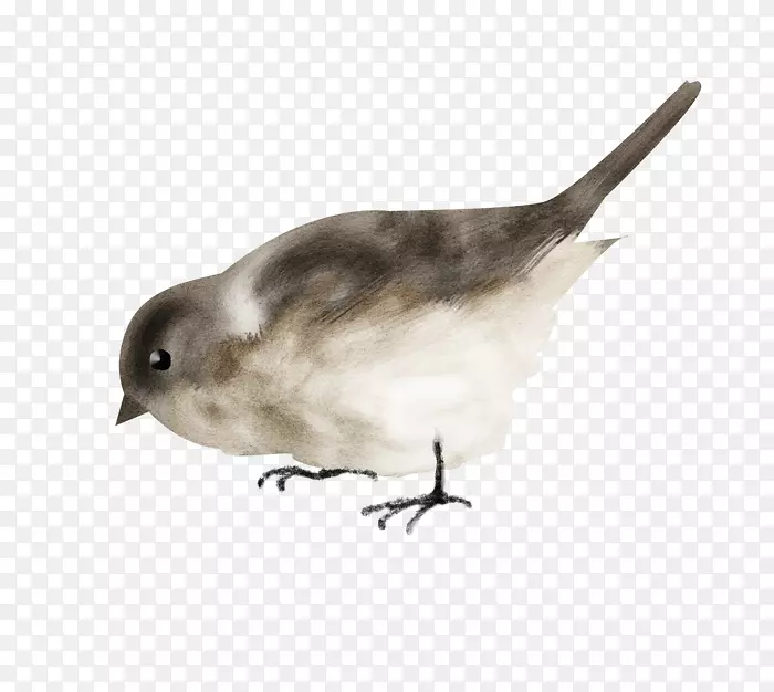 �ҵ��ǹ������������˿����-������