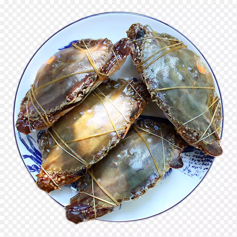 ��з��βзʳ��è-����з-������