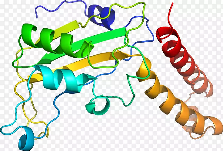 �����߶����������-������