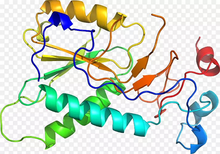 �ߵ������������-������