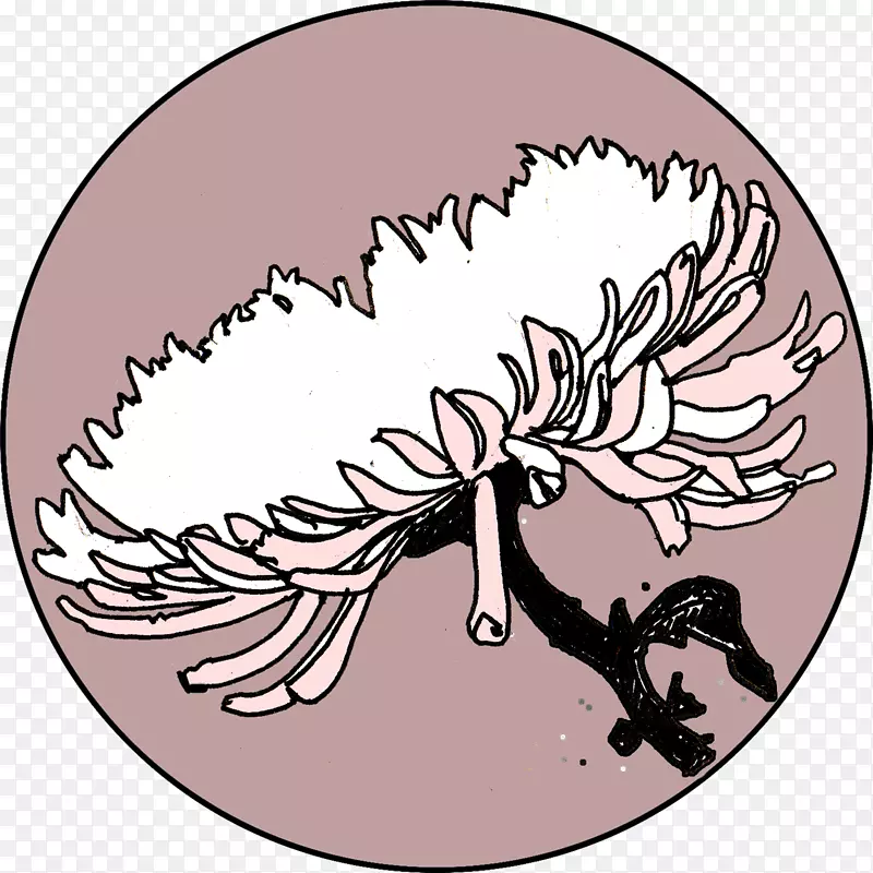 ��ͨ����ֲ�������-������