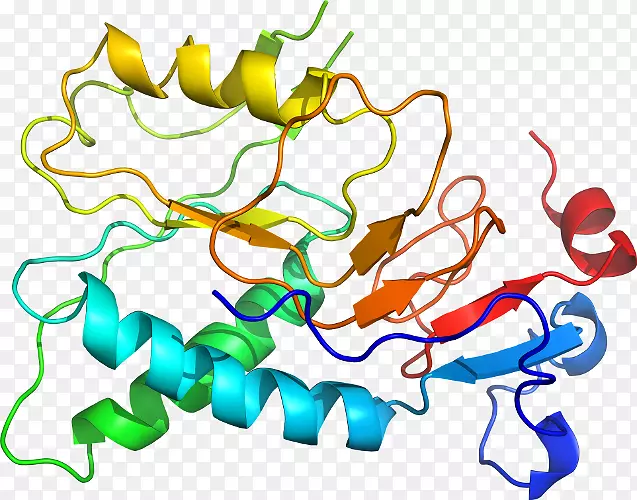 �ߵ������������-������