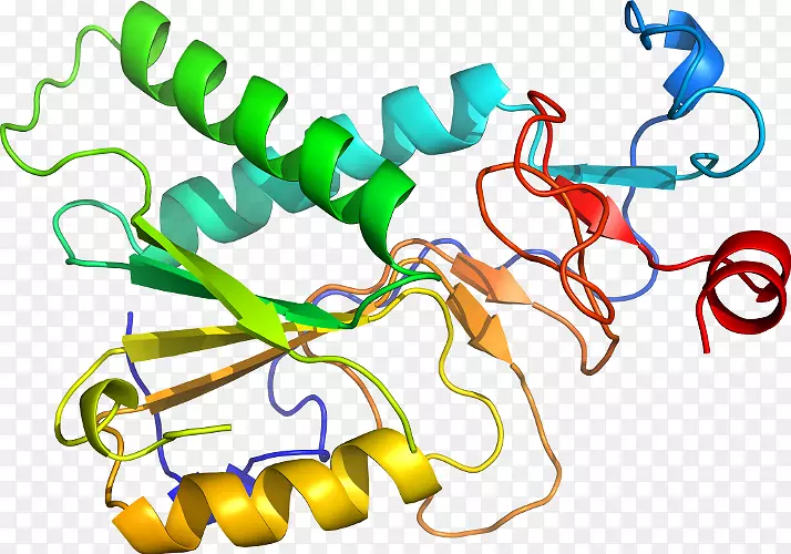 �ߵ������������-������