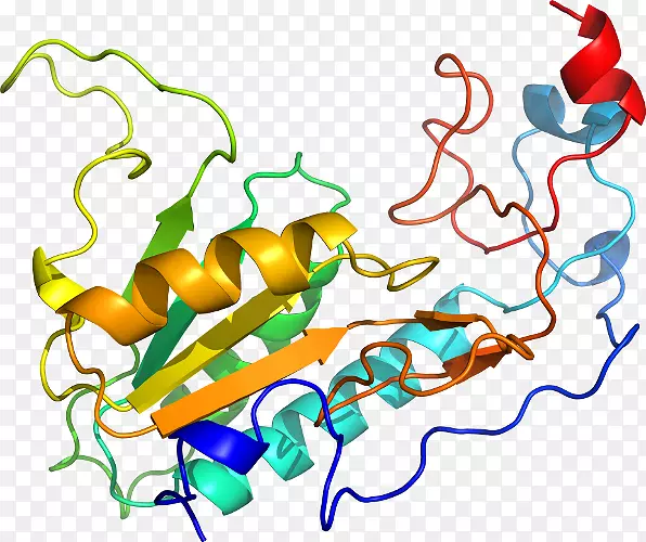 �ߵ������-��-������