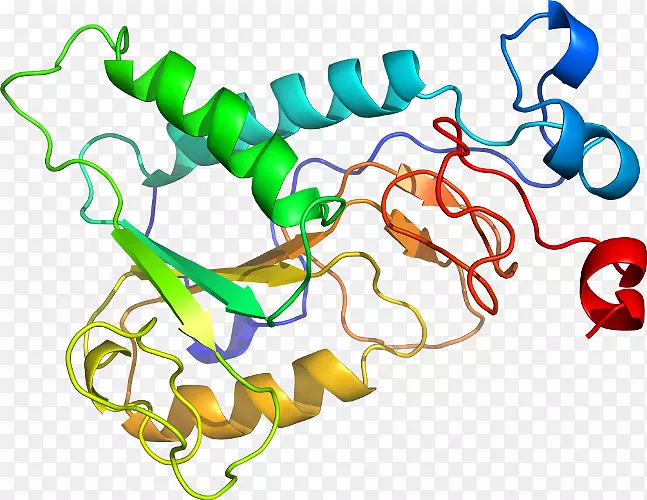 �ߵ������������-������