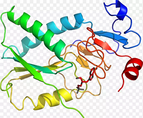 �ߵ������������-������