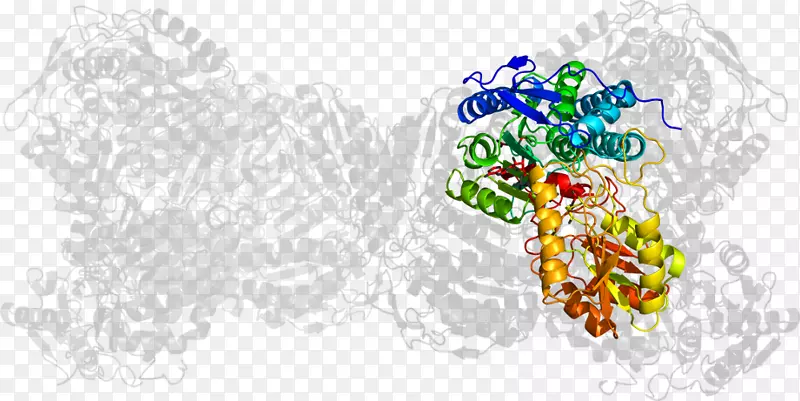 ʳ����������-��-������