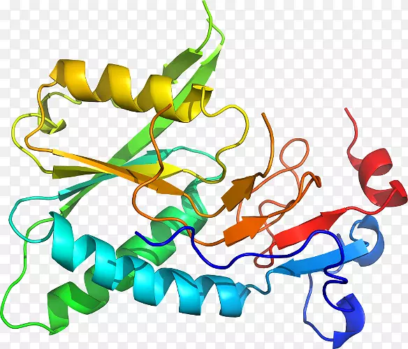 �ߵ������-��-������