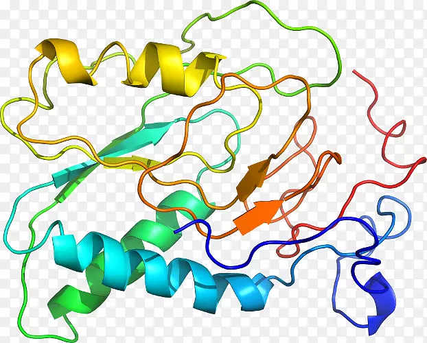 �ߵ������������-������