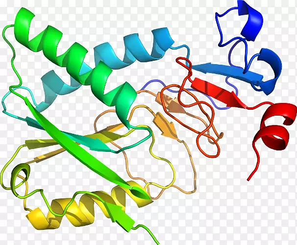 �ߵ������������-������