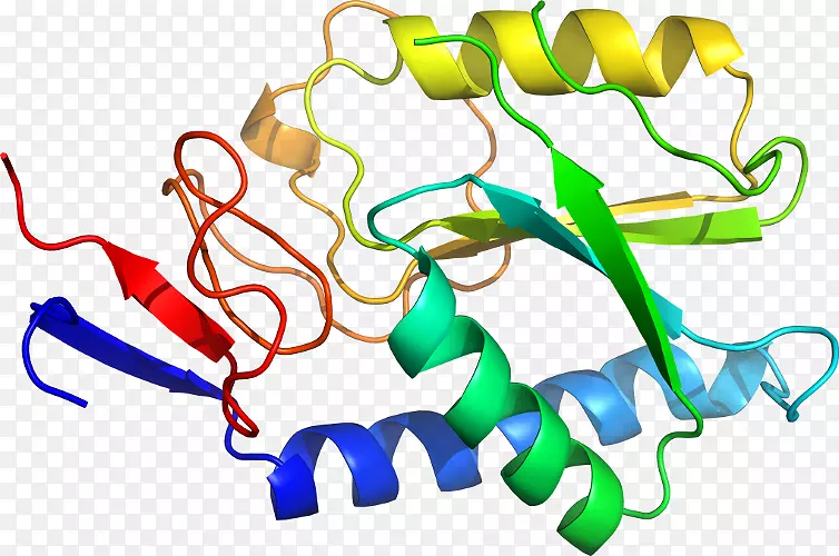 �ߵ������-��-������