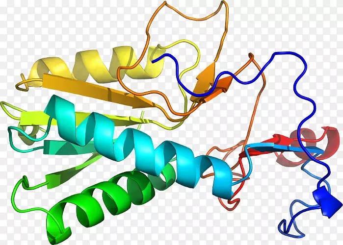 ���������л����߼�������-������